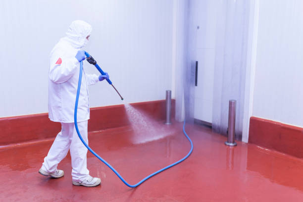 Paint Preparation in Verona, VA